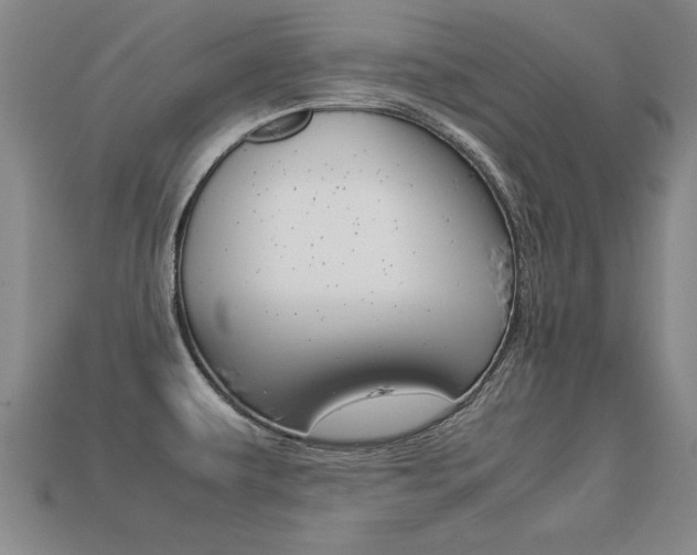 X0000113351479200909151016