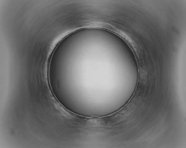 X0000113351480200909151016