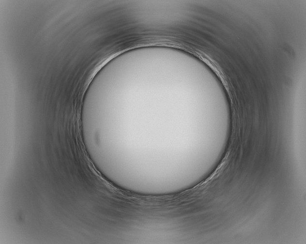 X0000113351481200909151016
