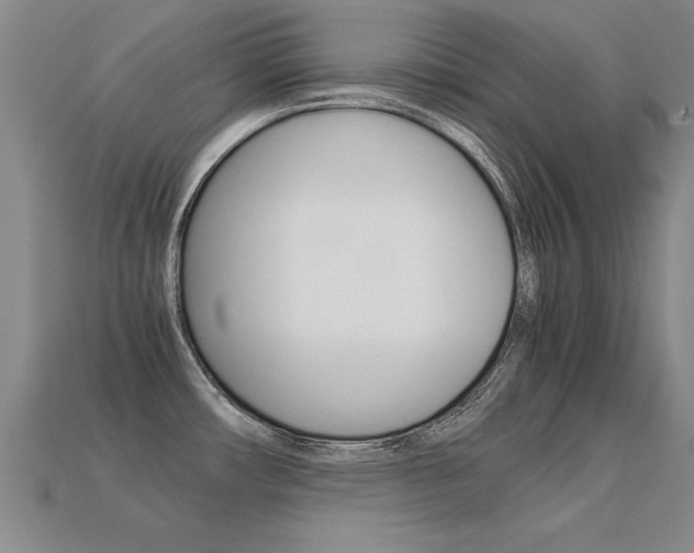 X0000113351482200909151016