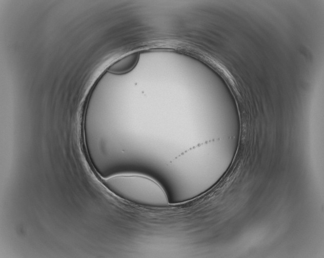 X0000113351483200909151016