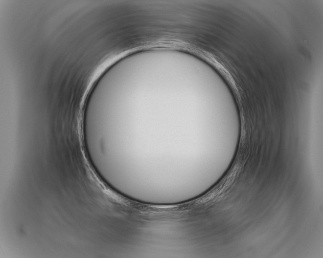 X0000113351486200909151016