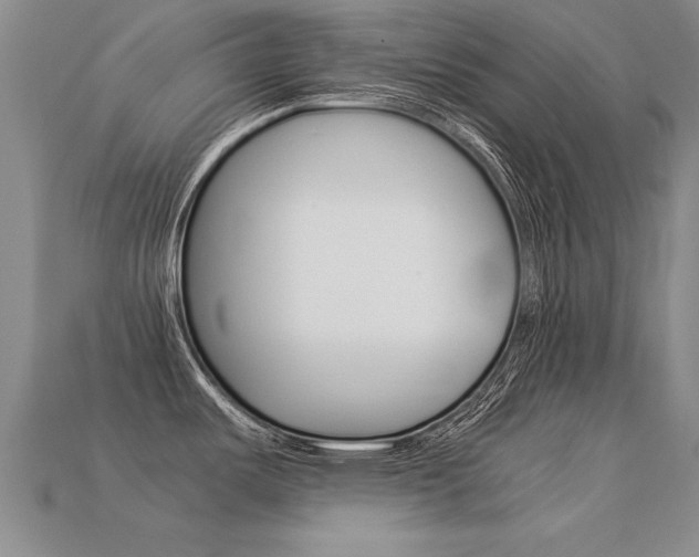 X0000113351487200909151016