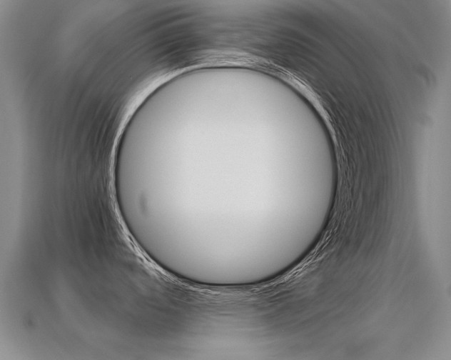 X0000113351488200909151016