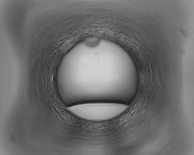 X0000113351489200909151015