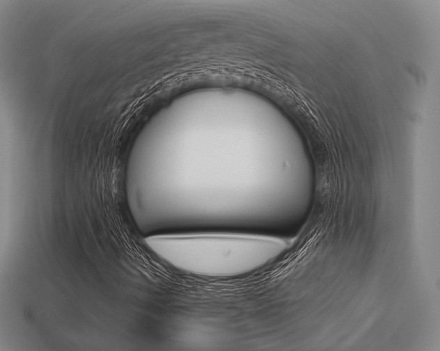 X0000113351490200909151015
