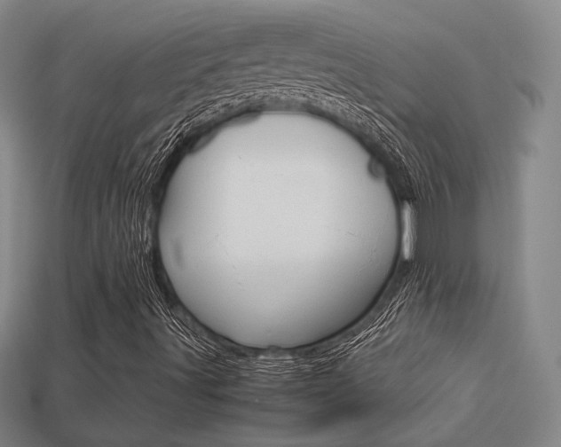 X0000113351491200909151015