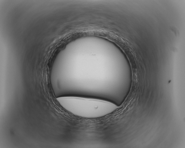 X0000113351493200909151015
