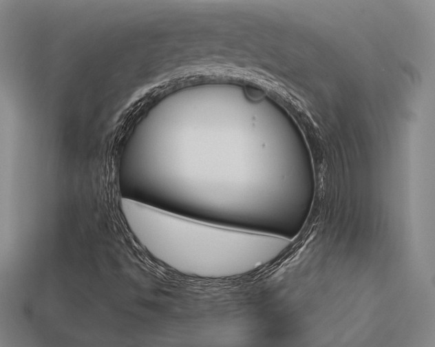 X0000113351494200909151015