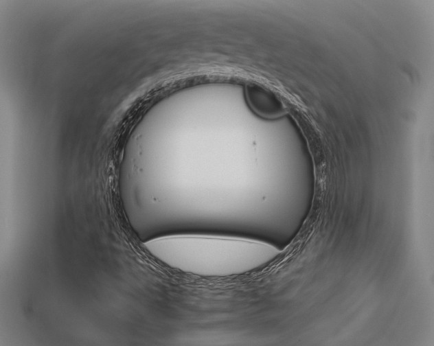 X0000113351495200909151015