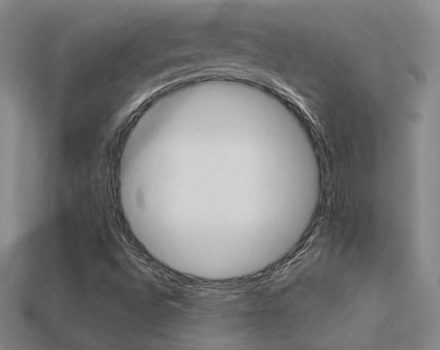 X0000113351496200909151015