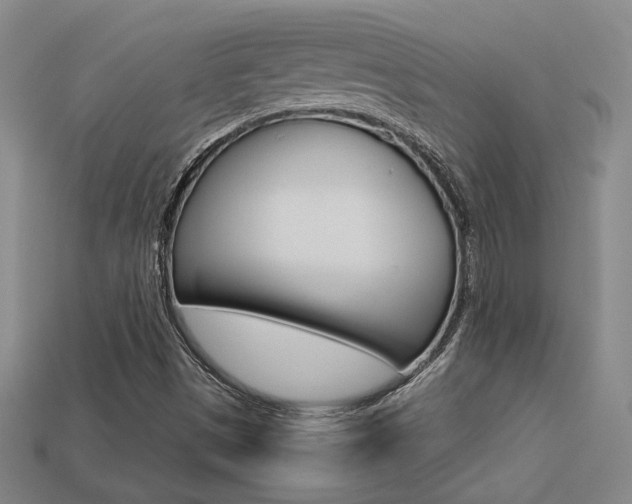 X0000113351497200909151015