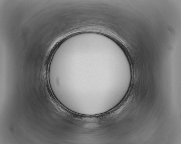 X0000113351498200909151015