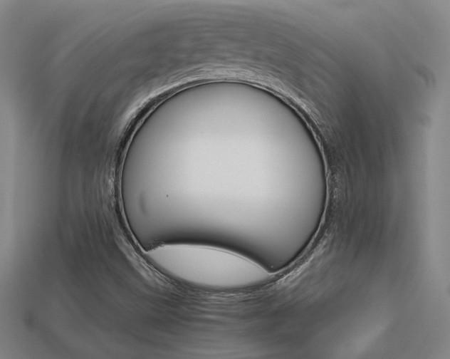 X0000113351499200909151015