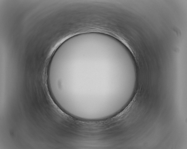 X0000113351500200909151015