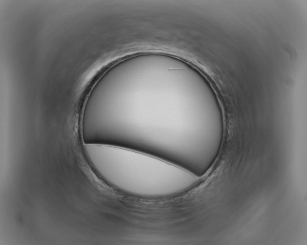 X0000113351503200909151015