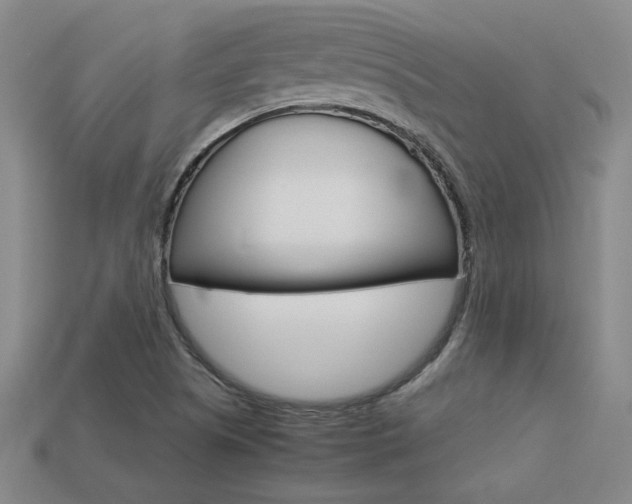 X0000113351505200909151016