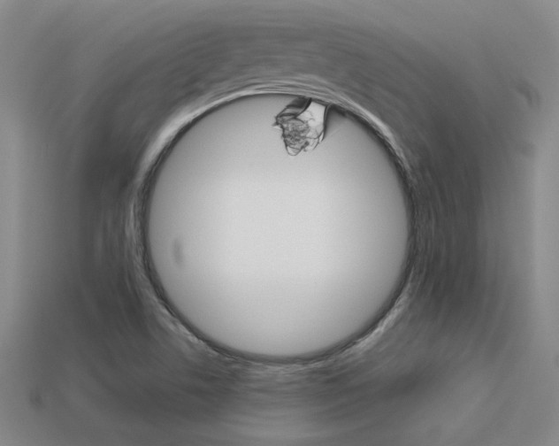 X0000113351506200909151016