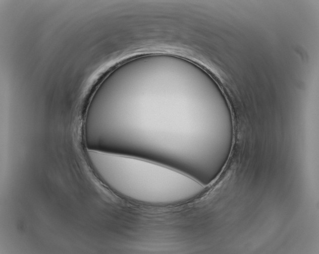 X0000113351507200909151016