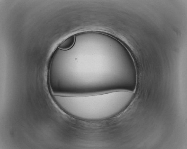X0000113351508200909151016
