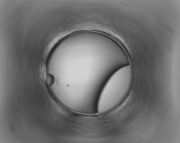 X0000113351509200909151016