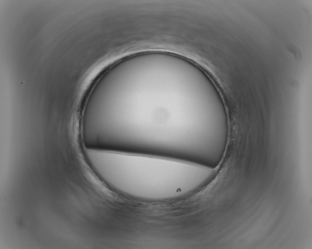 X0000113351511200909151016
