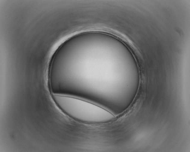 X0000113351512200909151016