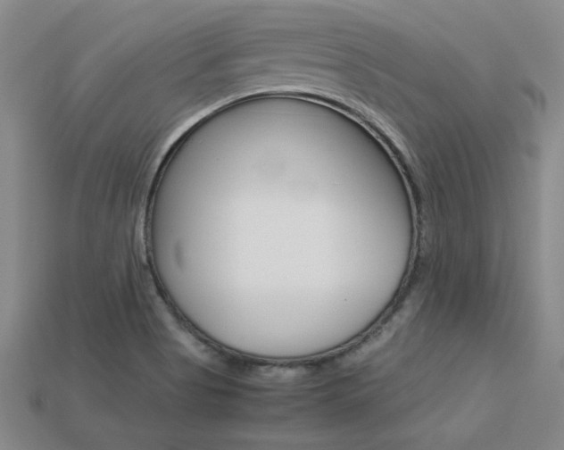 X0000113351513200909151016