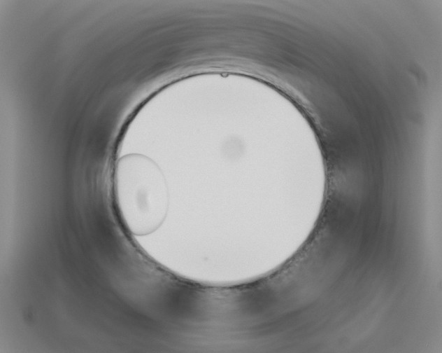 X0000113351514200909151016