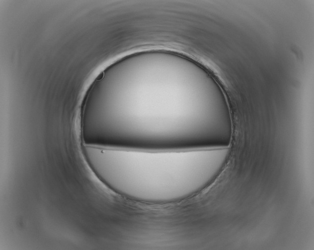 X0000113351516200909151016
