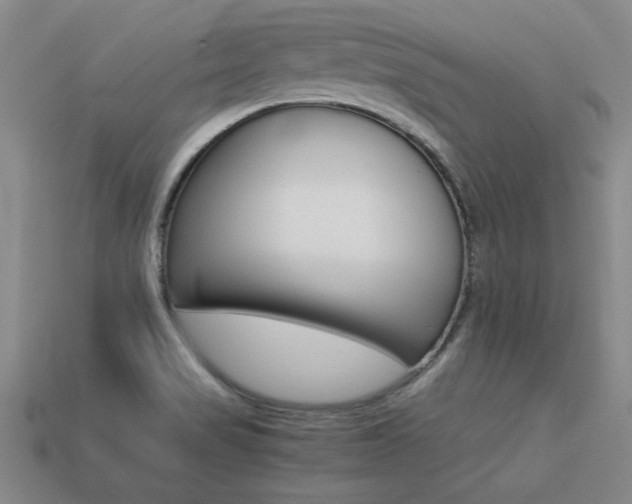 X0000113351517200909151016