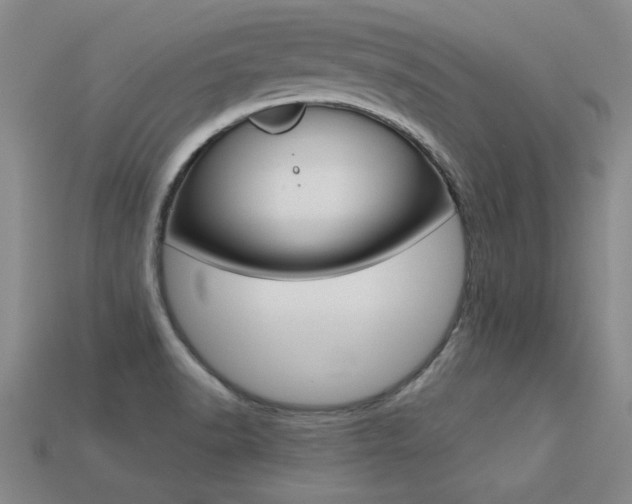 X0000113351518200909151016