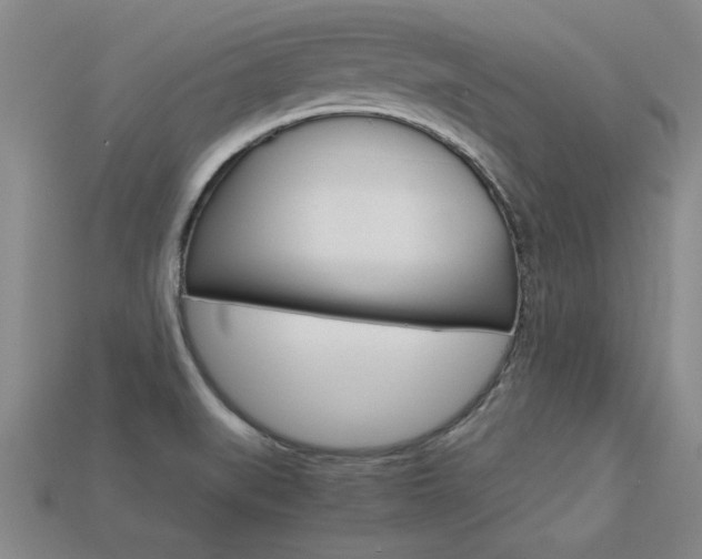 X0000113351519200909151016