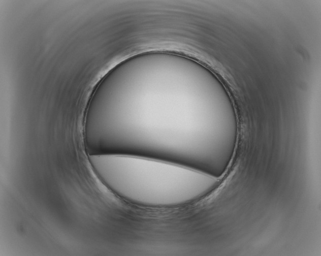 X0000113351521200909151016