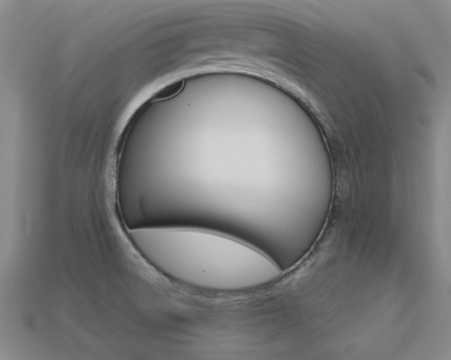 X0000113351522200909151016