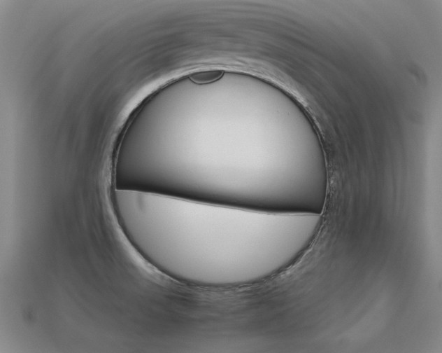 X0000113351523200909151016