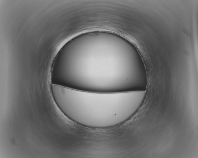 X0000113351524200909151016