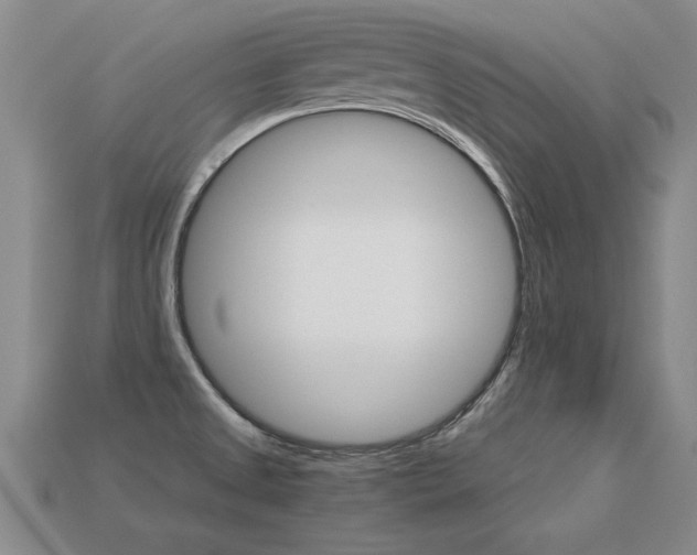 X0000113351525200909151016
