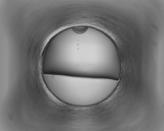 X0000113351526200909151016