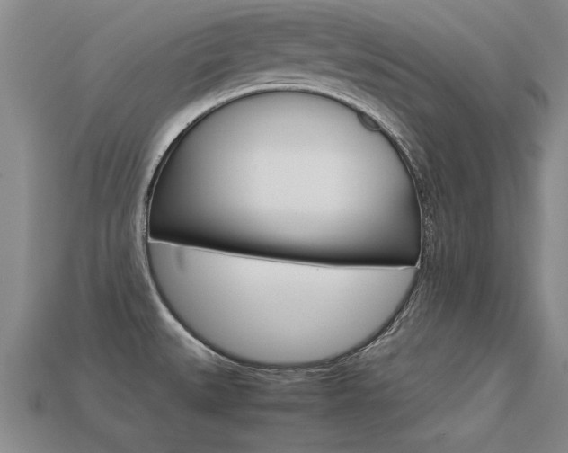 X0000113351527200909151016