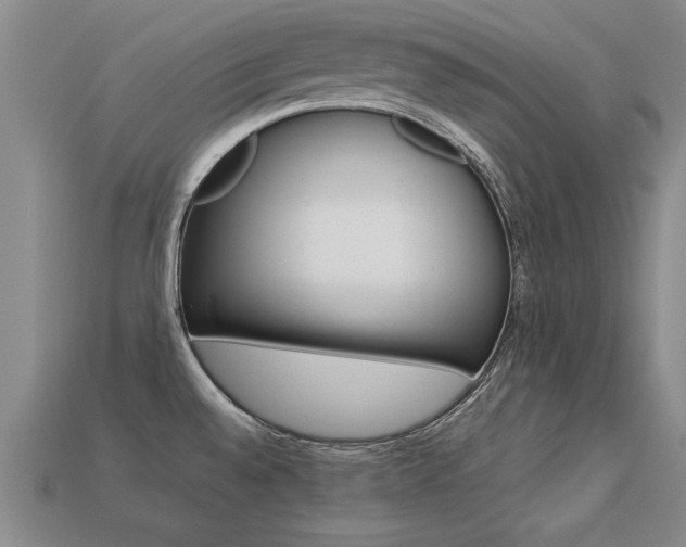X0000113351528200909151016