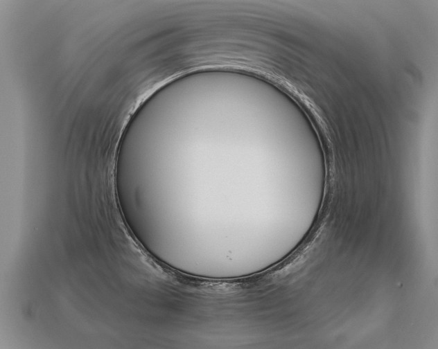 X0000113351529200909151016