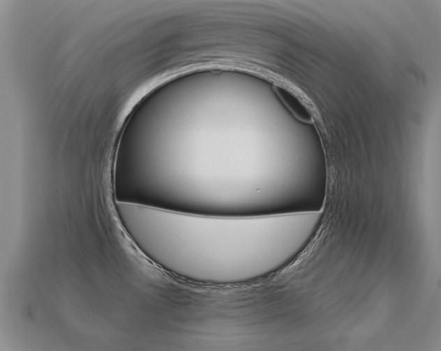 X0000113351530200909151016