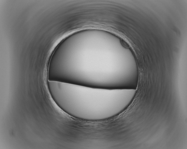 X0000113351531200909151016
