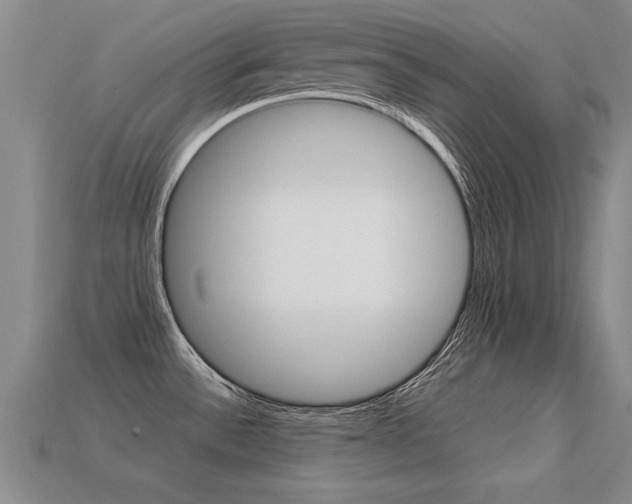 X0000113351532200909151016