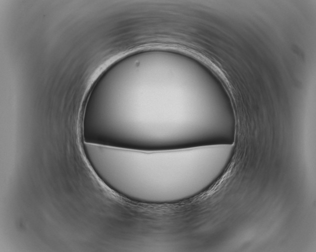X0000113351533200909151016