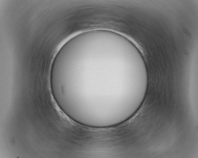 X0000113351534200909151016