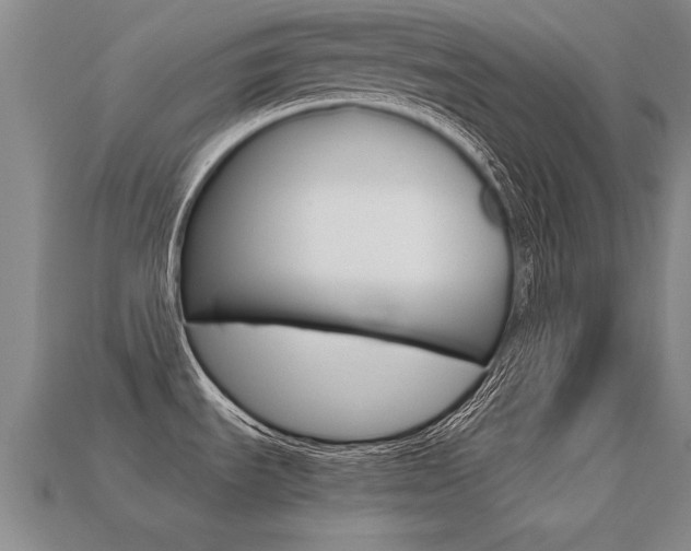 X0000113351535200909151016