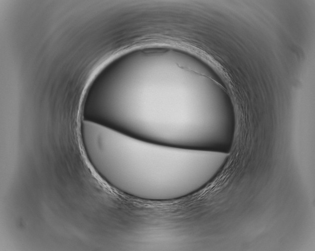 X0000113351536200909151016