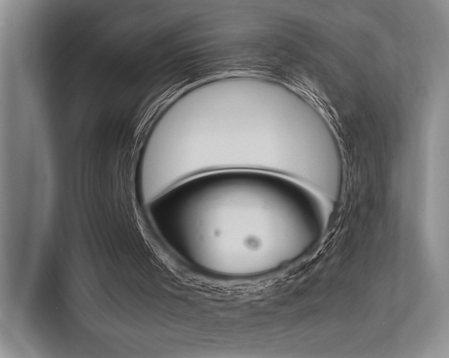 X0000113350001200909151203